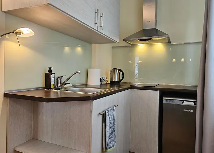 شقة Bright Studio, Free Parking, Ltd Avail